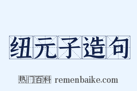 纽元子造句是什么意思的图片